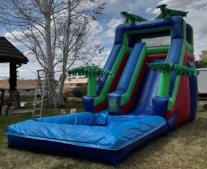 Oasis Bounce House Slide Rental